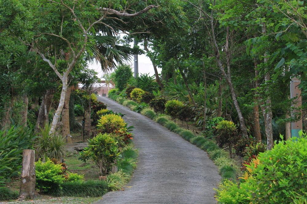 Aloha Hotel Nago Exterior photo