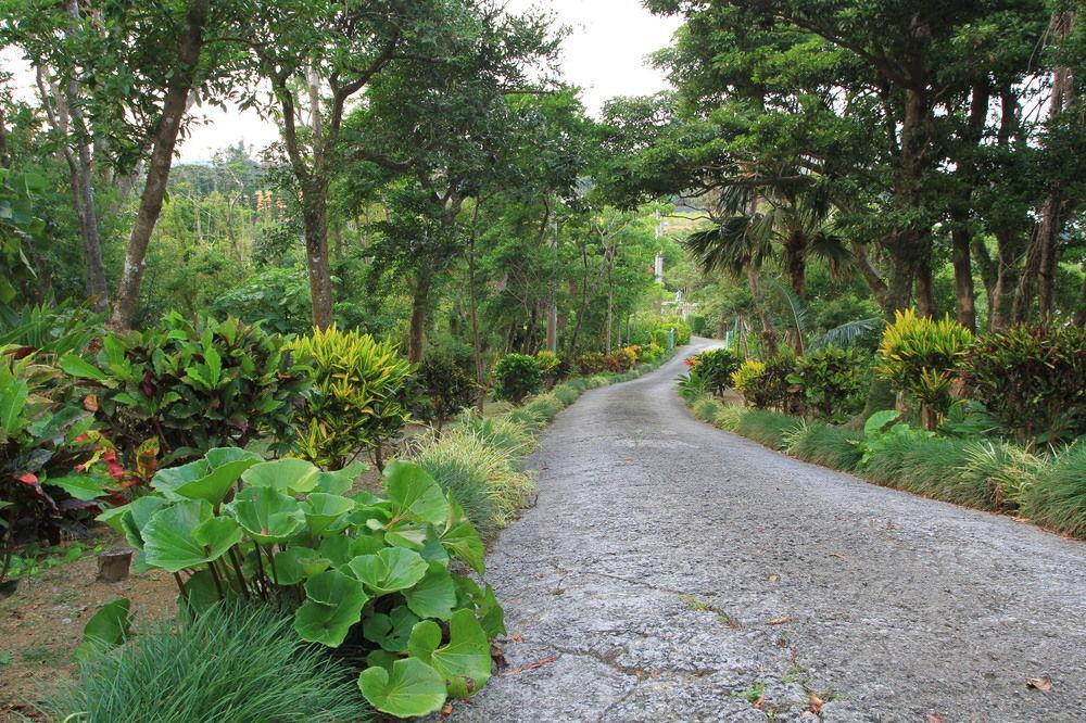 Aloha Hotel Nago Exterior photo